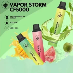 VAPOR STORM 風暴 5000 口拋棄式飛霧發光一次性電子煙桿